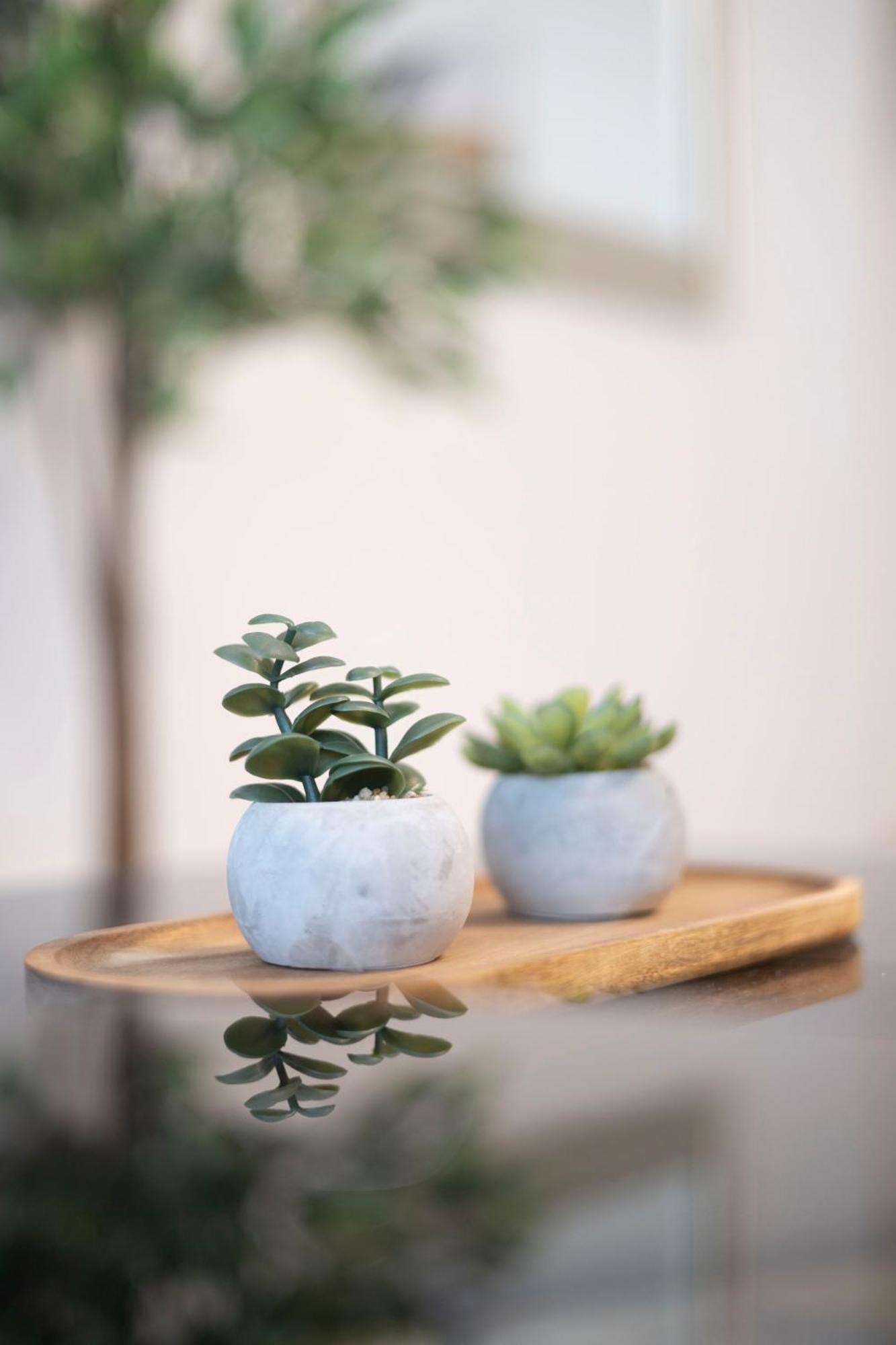 Prime Location & Cozy Central 3Bedrm Apartment 布达佩斯 外观 照片